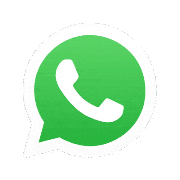 kabook777 WhatsApp number